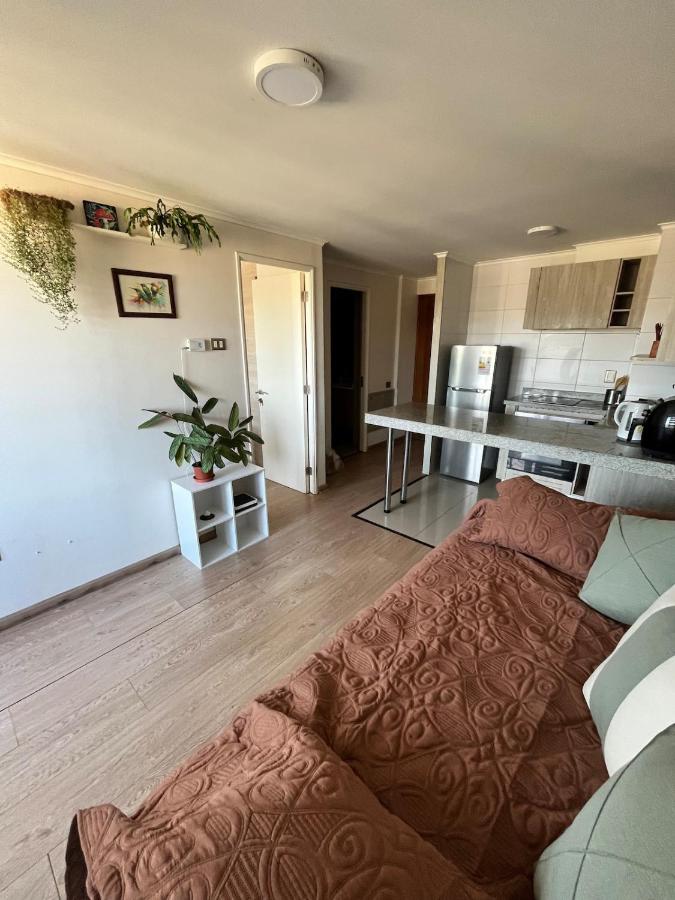 Acogedor y moderno departamento full equipado - B&B Villarrica