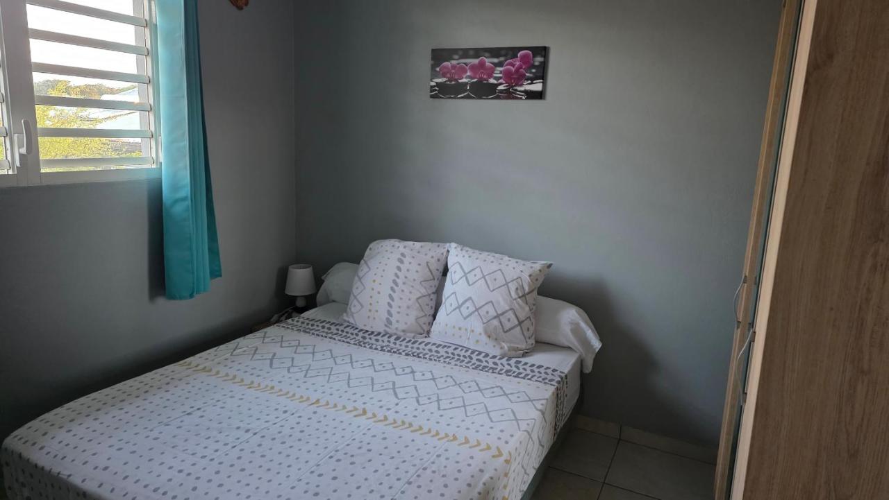 Appartement 1 Chambre