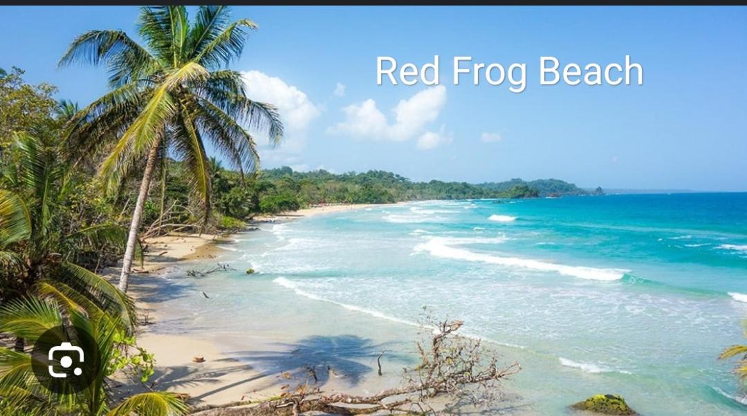 La Brisa del Mar - B&B Bastimentos