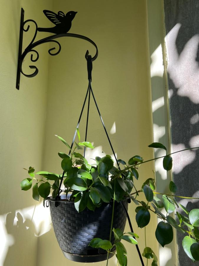 Magnólia Apartmanok Budapest - Ferienwohnung Budapest
