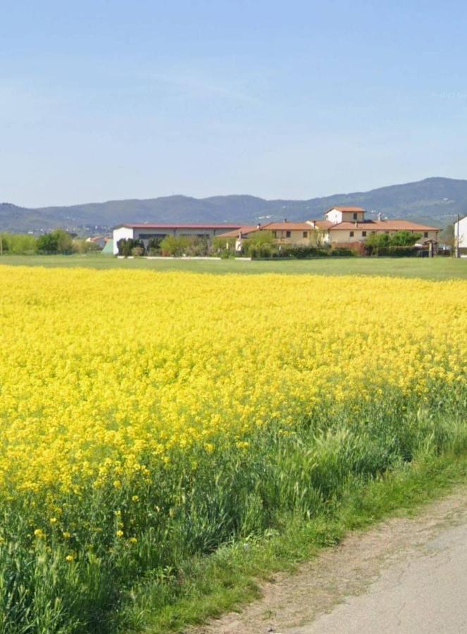 Fienile Paradiso Home Tuscany - B&B Campi Bisenzio