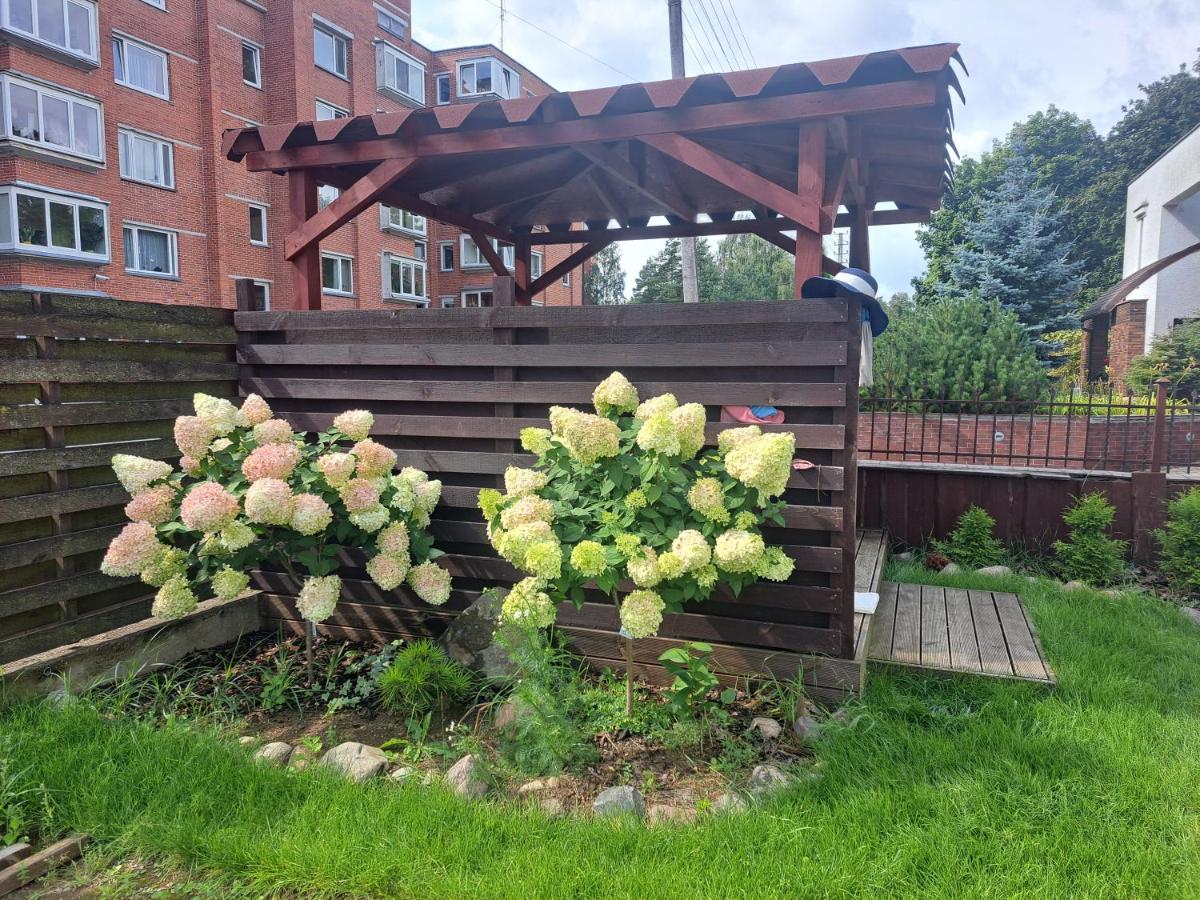 Cozy apartment in Jeruzalė - Bed and Breakfast Vilnius