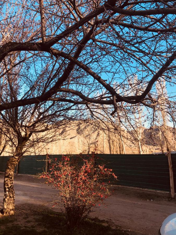 Cabañas El bosque DLM - B&B Uspallata