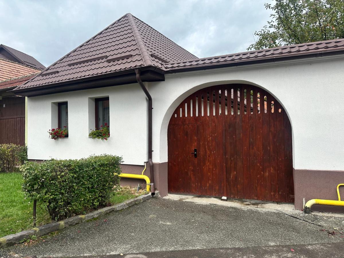 Central House - Modern Apartment - B&B Zărneşti