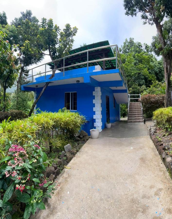 Cinnamon Cottage - Peaceful retreat in nature - B&B Soufrière