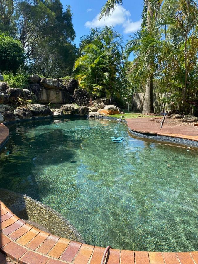 Luxurious Homely Retreat - Bed and Breakfast Springwood