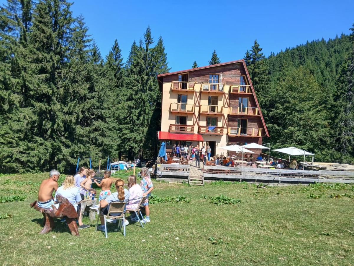 Cabana Saua Diham - B&B Pârâul Rece