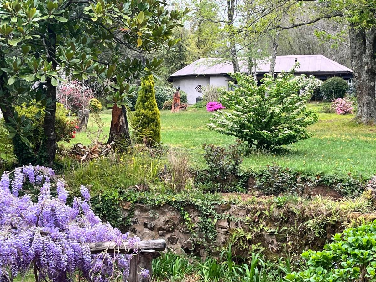 Bramber Cottage Hogsback, Living With Joy! - B&B Hogsback