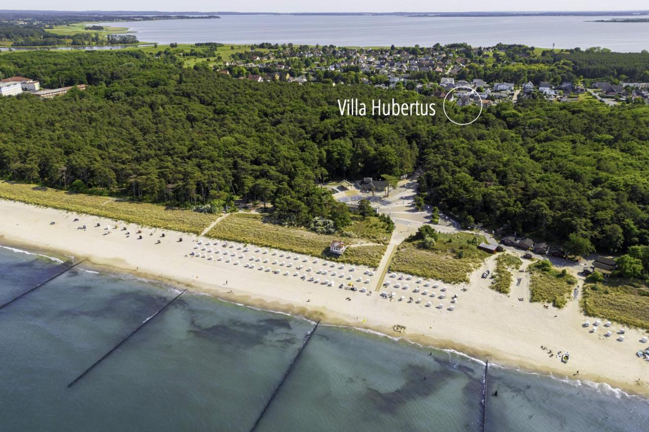 Villa Hubertus 06 - Bed and Breakfast Seebad Zempin