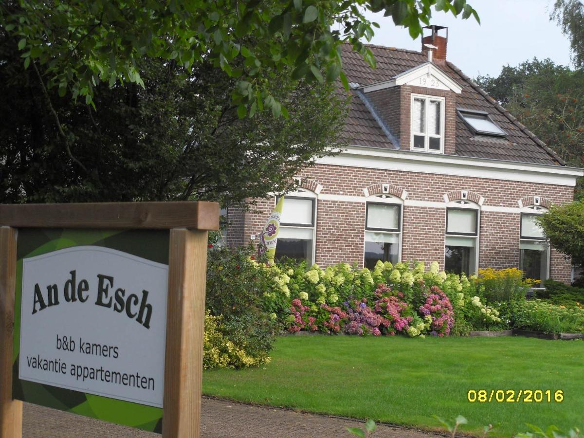 B&B Dwingeloo - An de Esch - Bed and Breakfast Dwingeloo