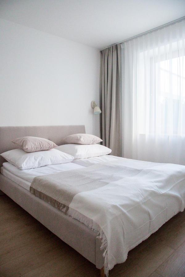 One-Bedroom Apartment with Lake View