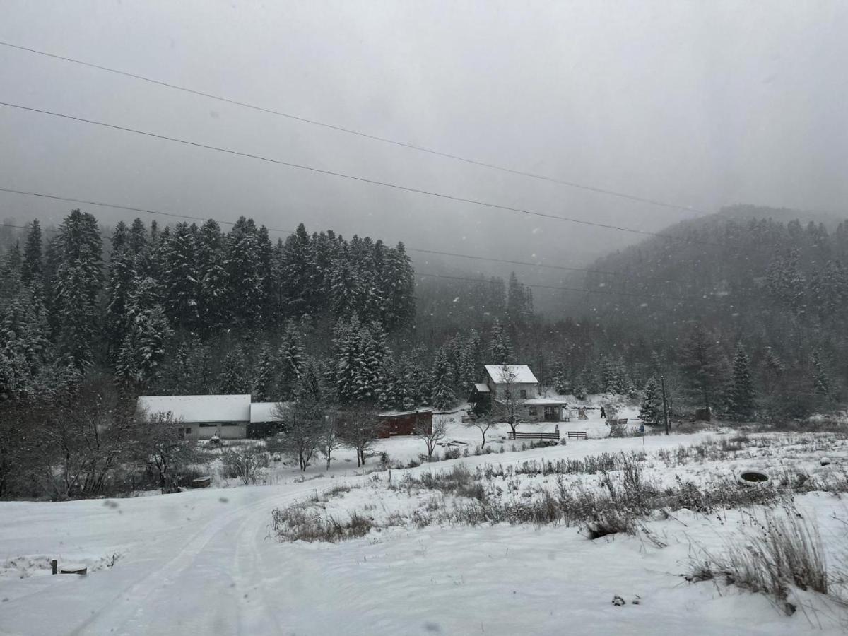 Apartmán za Holubnicou - Chambres d’hôtes Spišská Nová Ves