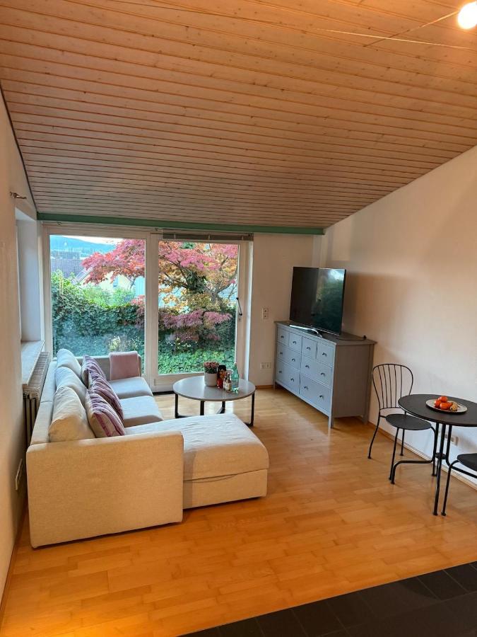 Schöne Ferienwohnung mit Seeblick - Ferienwohnung Allensbach