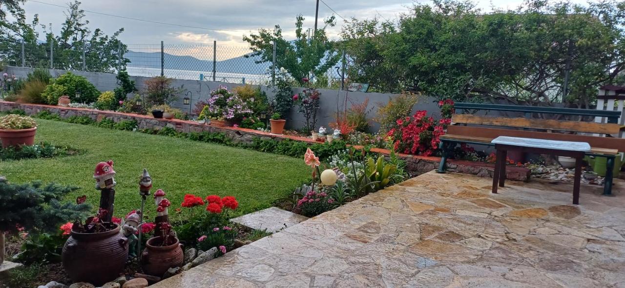 Παραθαλάσσιο διαμέρισμα με κήπο στον Αγιόκαμπο - B&B Agiokampos