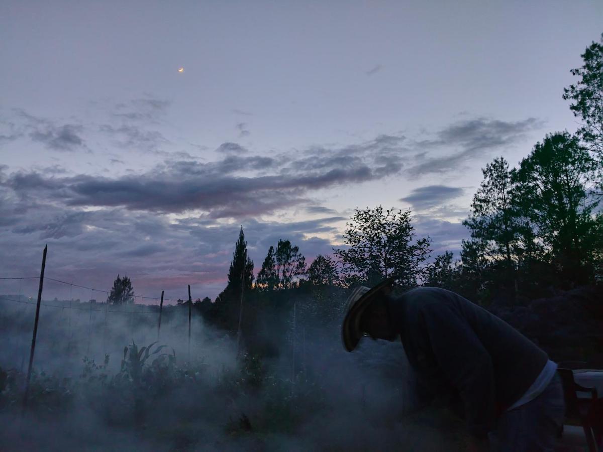 Alma Casa Finca - B&B Guarne