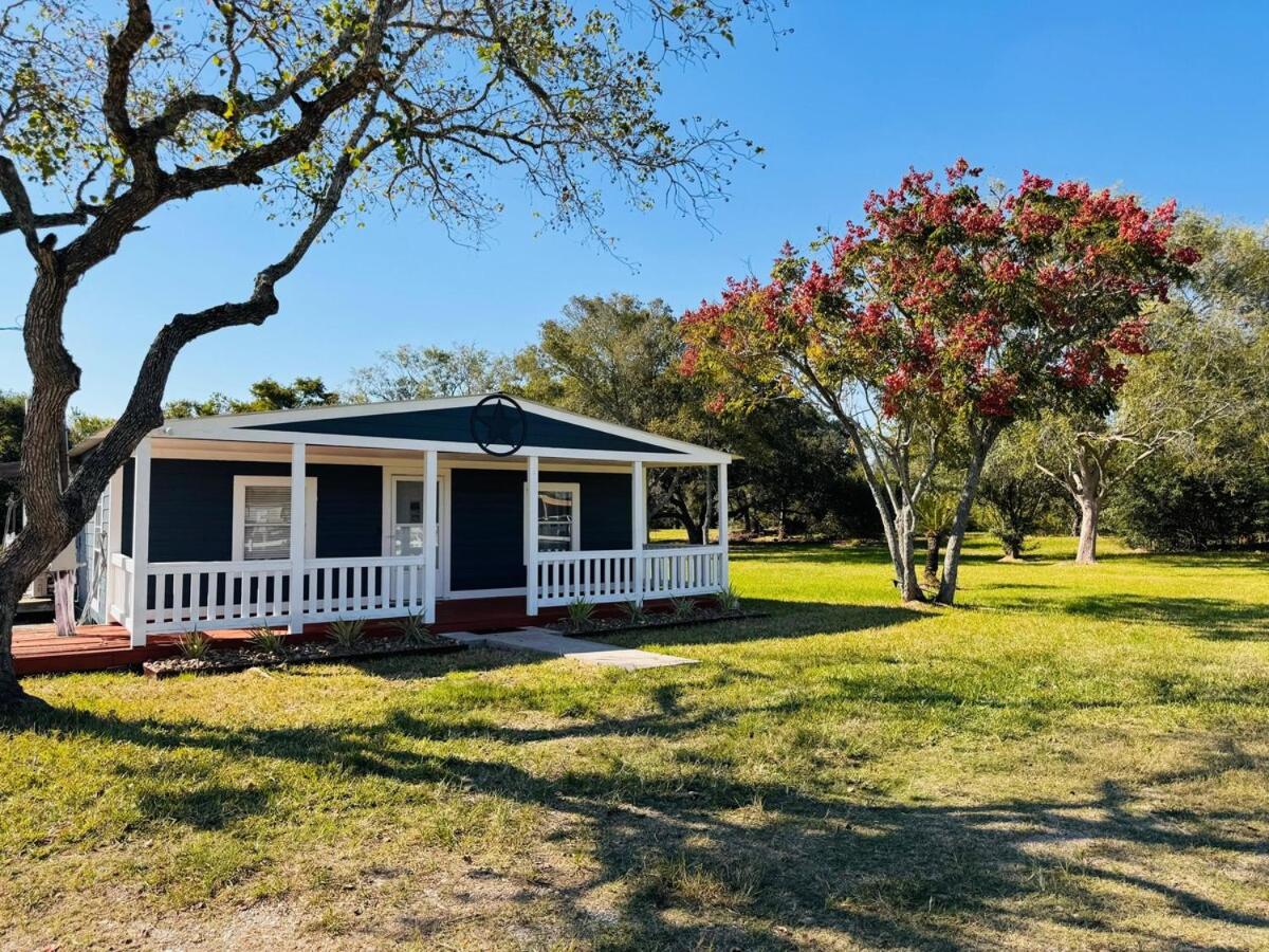 The Blue Oasis - Palm & Pool Retreat - Ferienwohnung Pearland