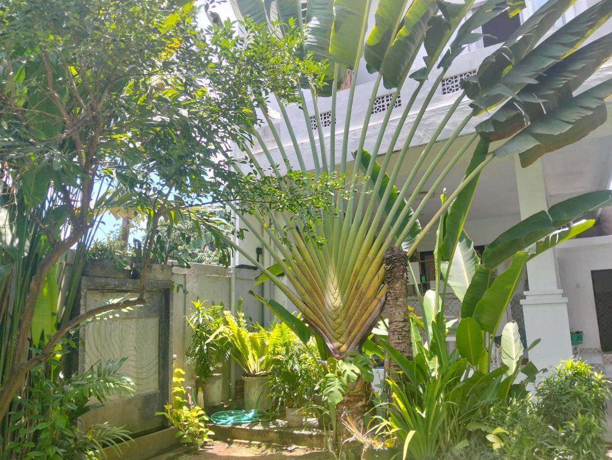 Merry's House canggu - Ferienwohnung Canggu