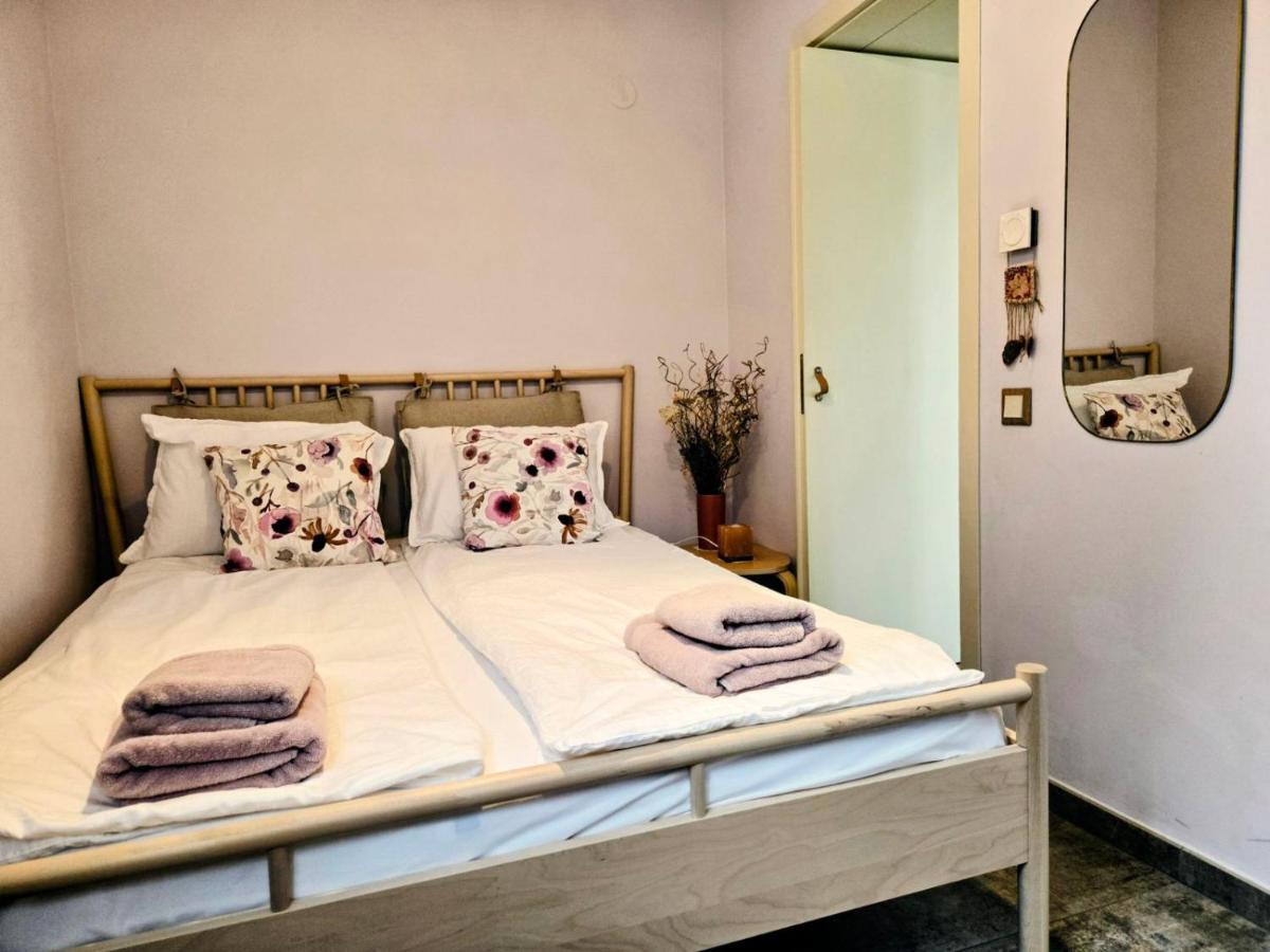 One-Bedroom Apartment with Garden