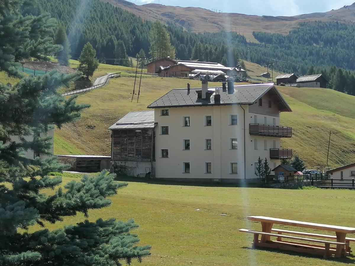 Wood Apartment - B&B Livigno