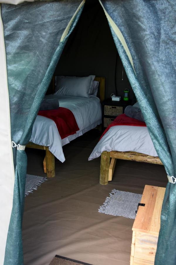 Zandfontein Bush Camp and Game Farm - Chambres d'hôtes Platdrift