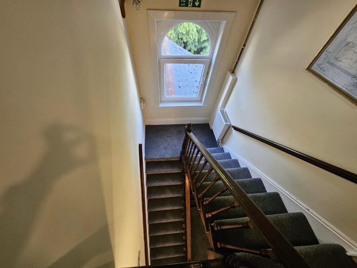 King Studio with Sofa Bed