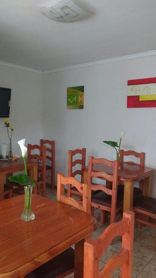 Hostal Alto Algarrobal - B&B