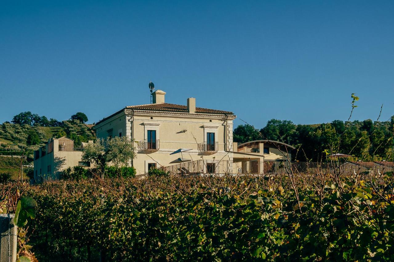 Baldovino b&b - B&B Villamagna