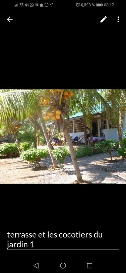 Bellevue sous les cocotiers - Ferienwohnung Ambondrona