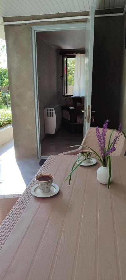 Guesthouse - Happy house in Kutaisi - Bed and Breakfast Koetaisi