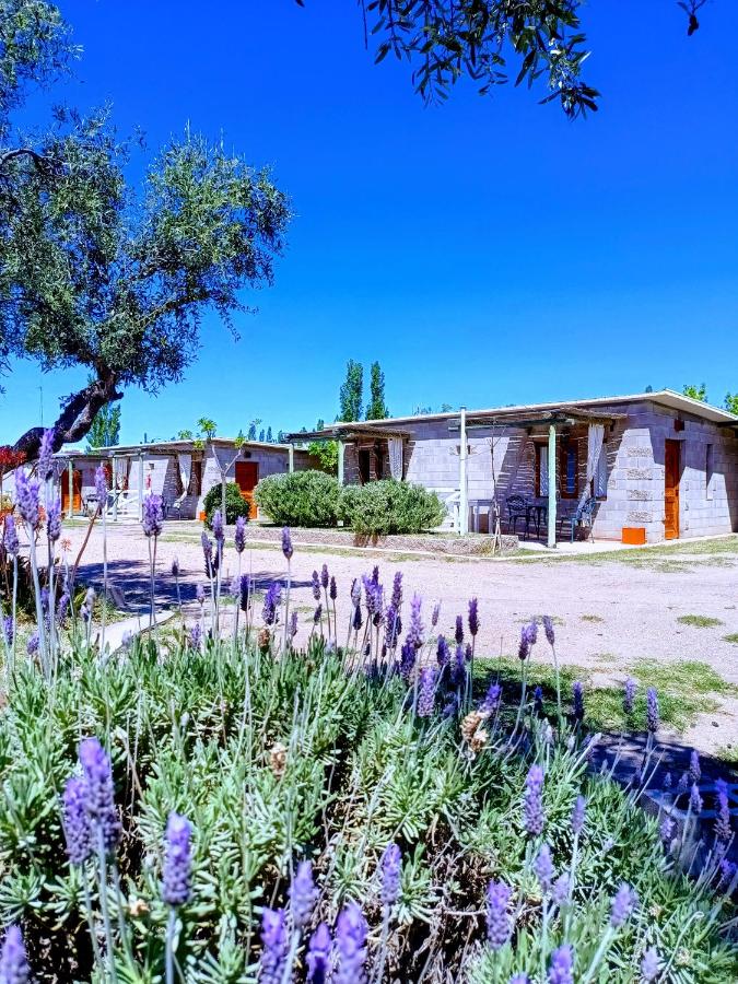 Nelumbo Petit Chalet - B&B San Rafael