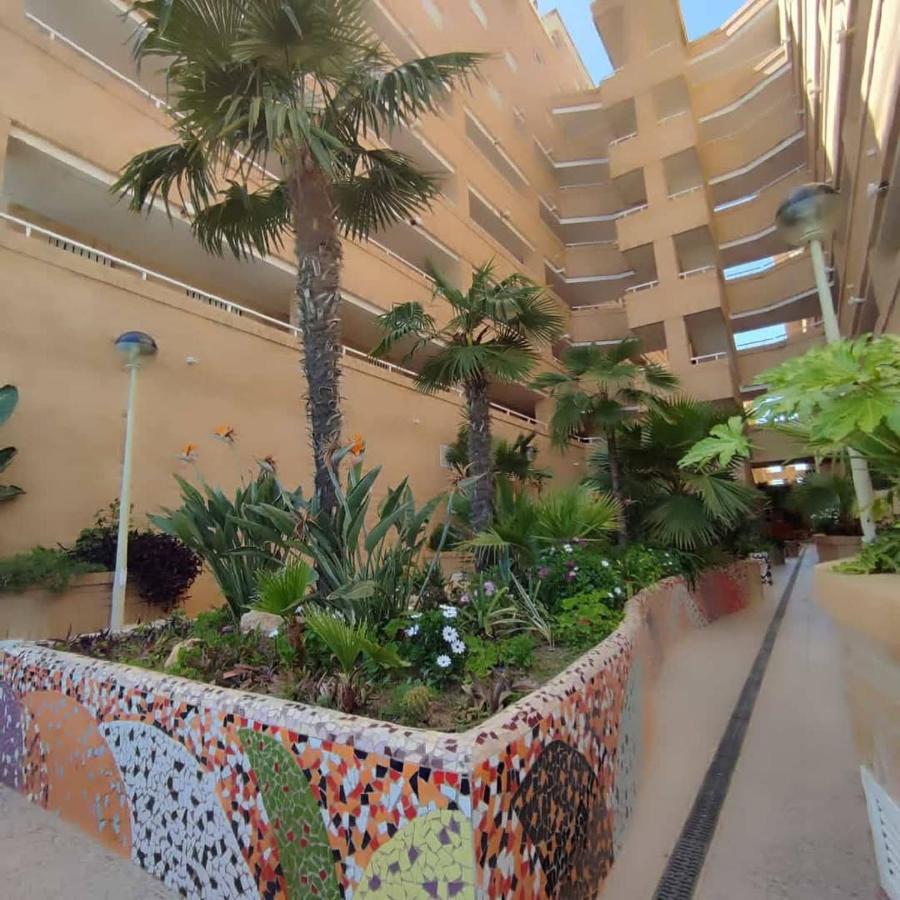 Oropesa summer - B&B Orpesa