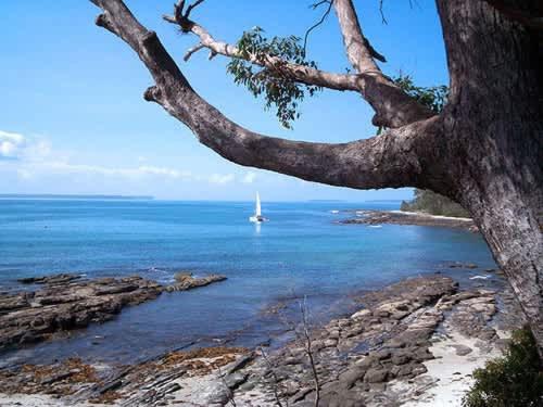 Myola - Modern Studio on Huskisson Main Street By Nautilus Apartments Jervis Bay - Chambres d'hôtes Huskisson