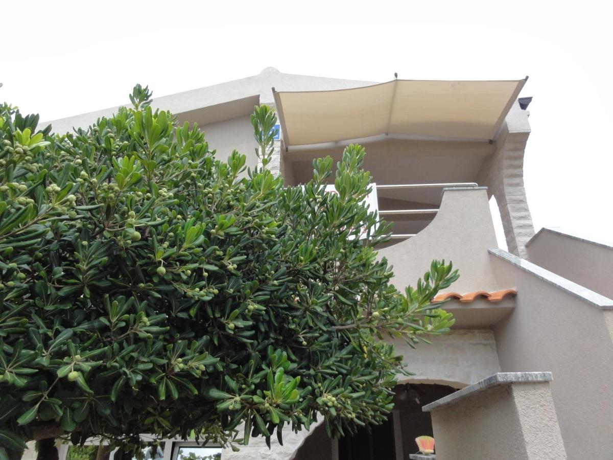 Apartment Ivica - B&B