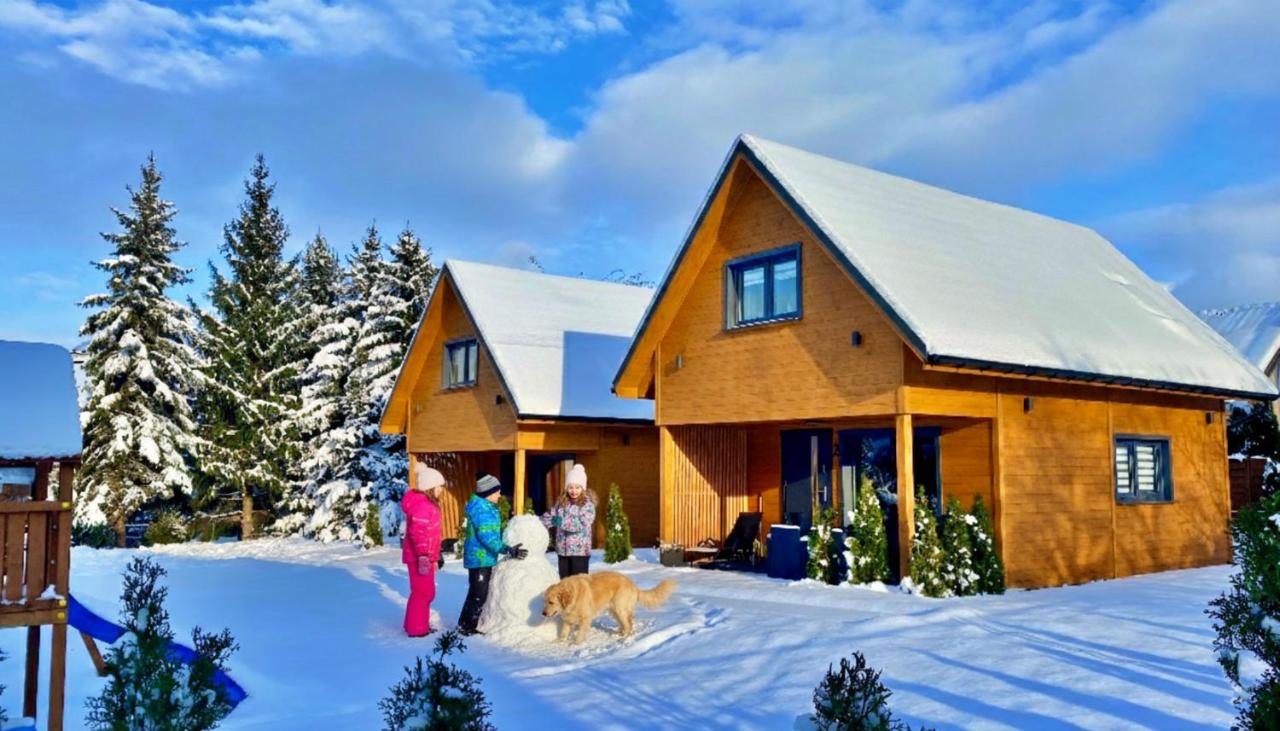 Dream Home Pet-Friendly - Ogród 600m2, Las 10min - Ferienwohnung Bad Altheide