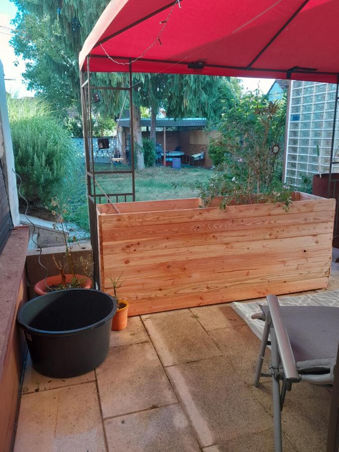 Apartment am Palmenhaus - B&B Bad Schönborn