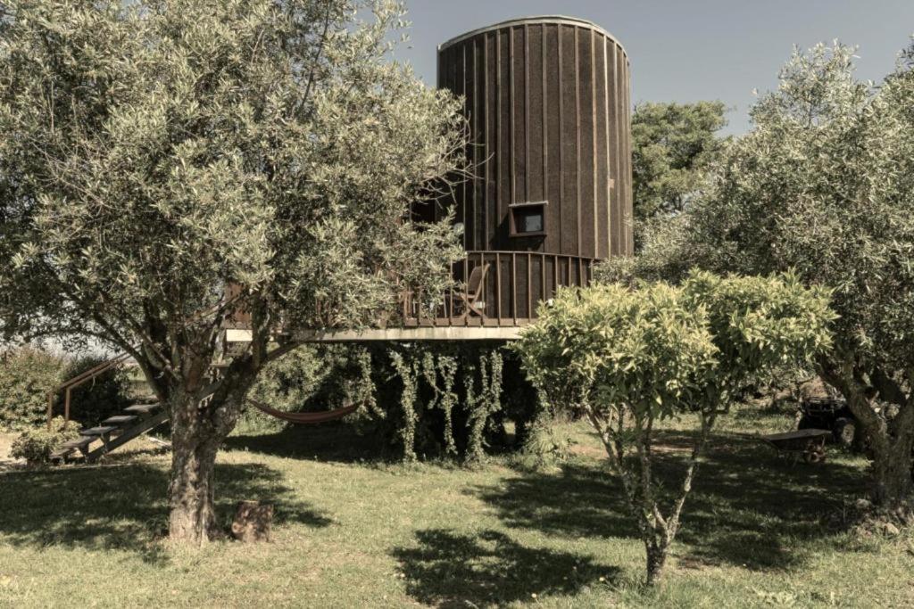  Casa Monolocale sull'Albero