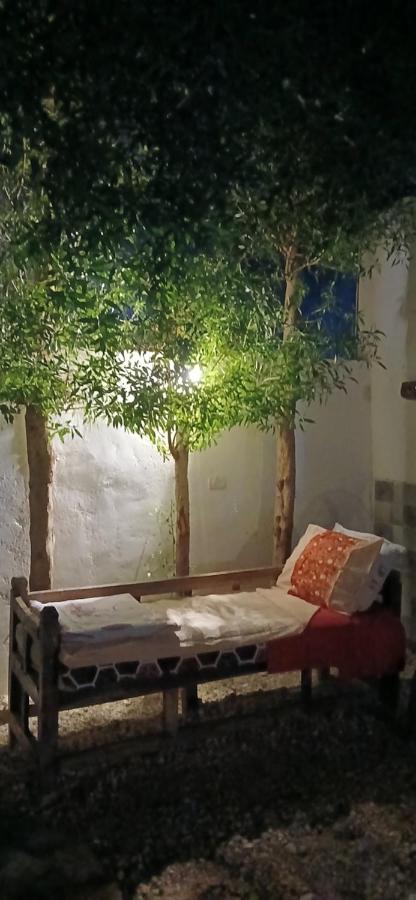 Single Bed in Dormitory Room