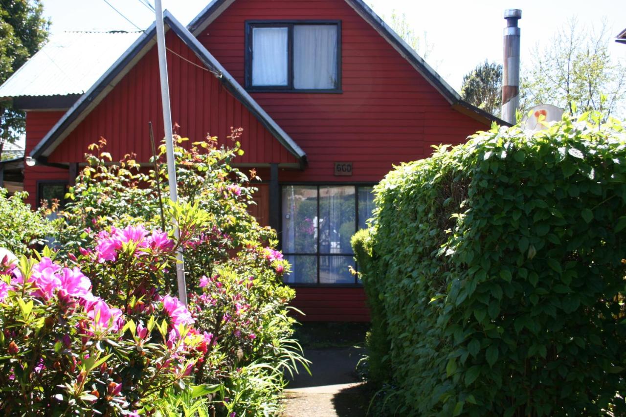 Pucón Forest Wellness - B&B Pucón