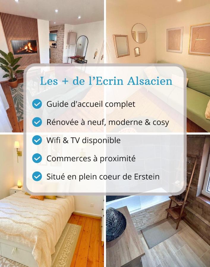 L'Ecrin Alsacien - Proche Europa Park - Idéal Famille & Professionnel - Commerces à Proximité - B&B Erstein
