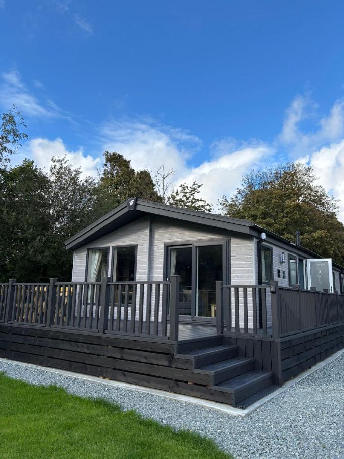Willow lodge - B&B Brynteg