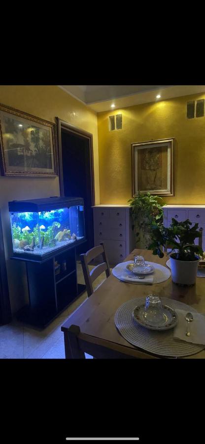 B&B Le Camelie - B&B Nettuno