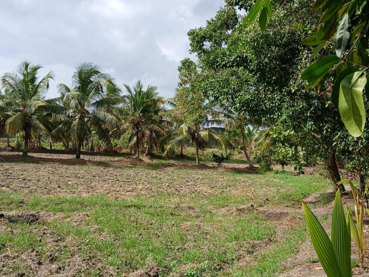 Livera airport vila - B&B Negombo