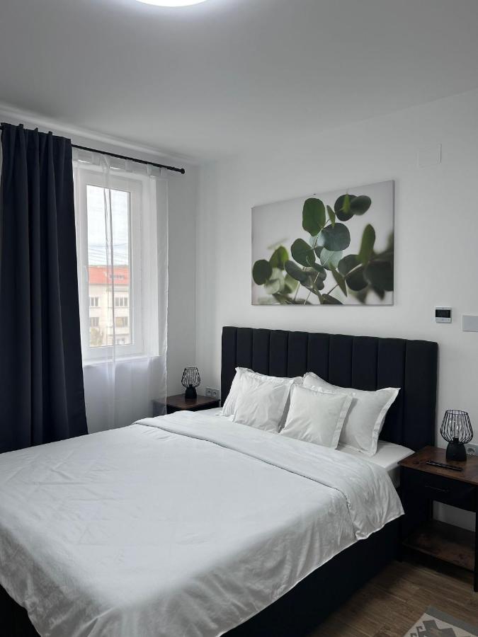 Ultracentral Apartment in the heart of Cluj - Chambres d’hôtes Cluj-Napoca