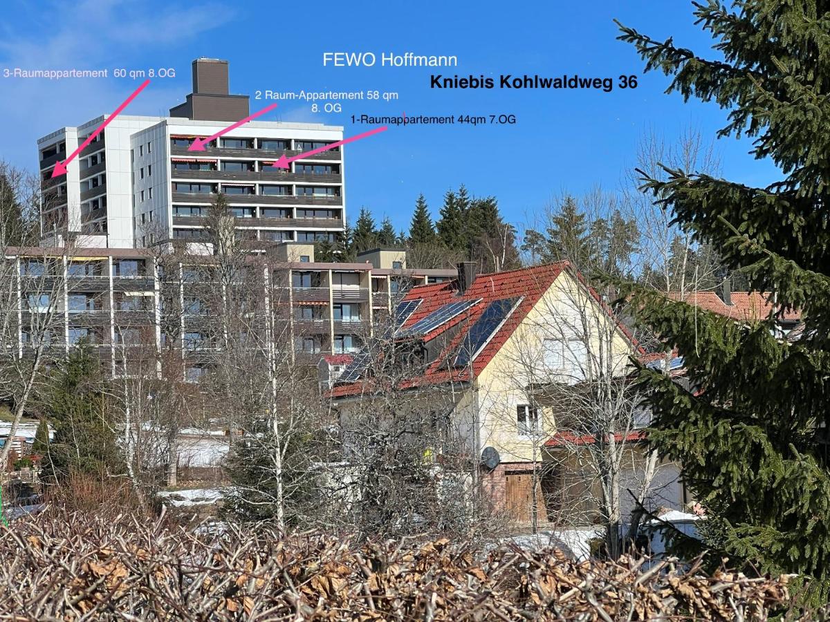 3 - Raumappartement 60 qm Dieter Hoffmann Freudenstadt-Kniebis beim Nationalpark - B&B Freudenstadt