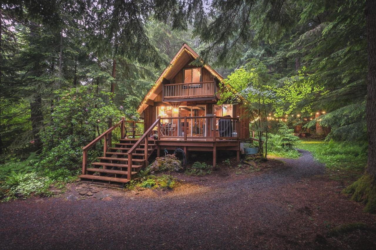 Nisqually Nest at Mount Rainier - Bed and Breakfast Ashford