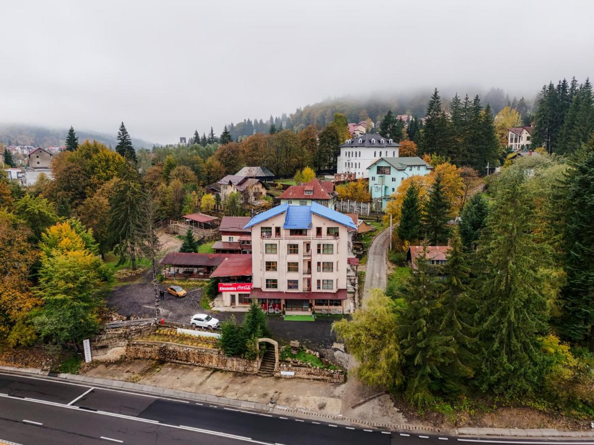 Pensiunea Alexandra - B&B Predeal