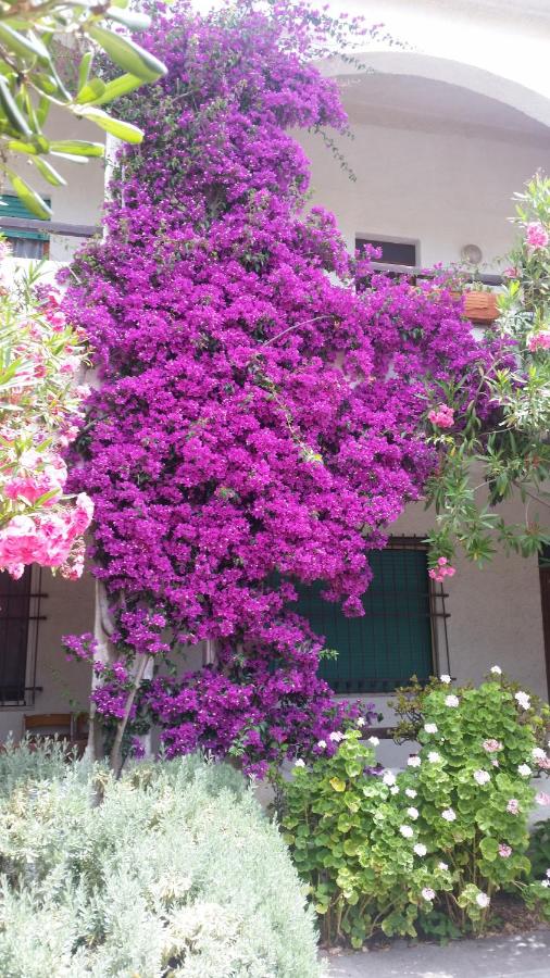 Casa degli Oleandri - B&B