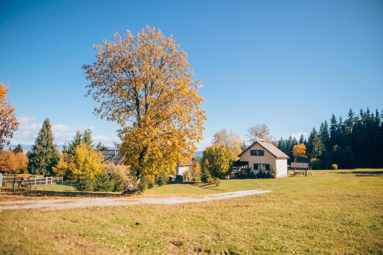 Bükkfői vendégház - B&B Borzont