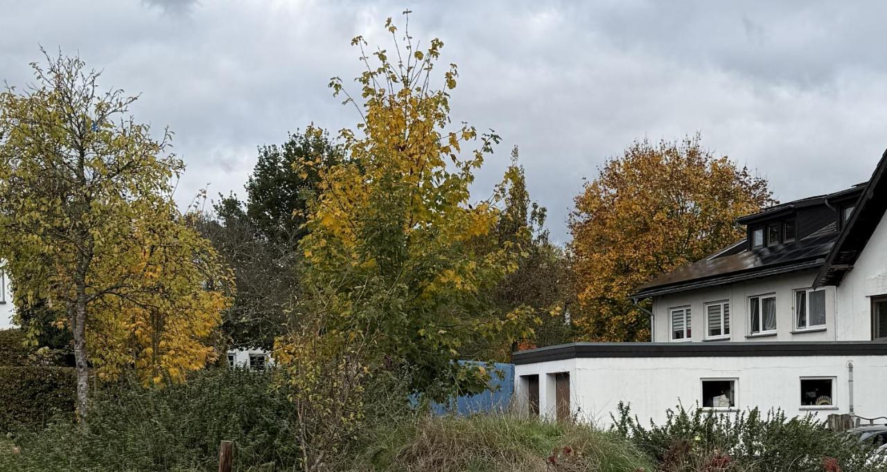 Gästehaus Fries - B&B Blankenheim