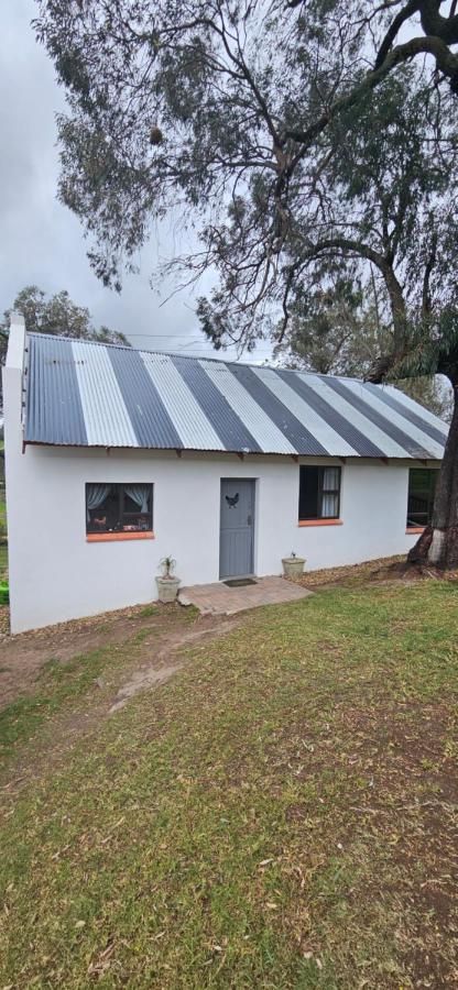 Hoenderhokkie - B&B Kareedouw